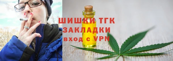 тгк Осташков