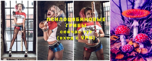 тгк Осташков