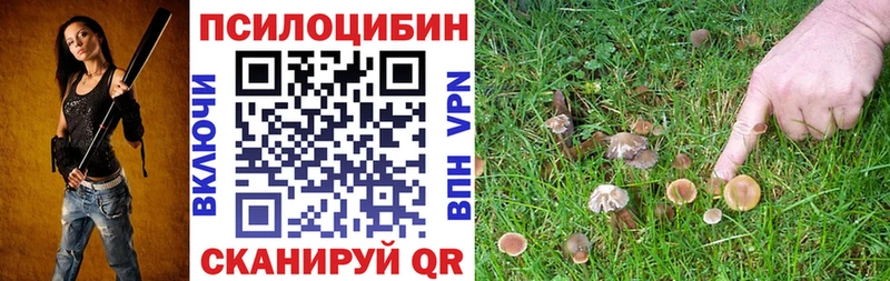 Псилоцибиновые грибы Magic Shrooms Суоярви